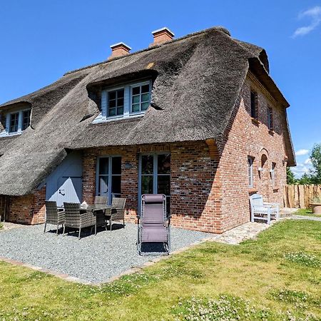 Kleine Lachmoewe Sankt Peter-Ording Eksteriør bilde